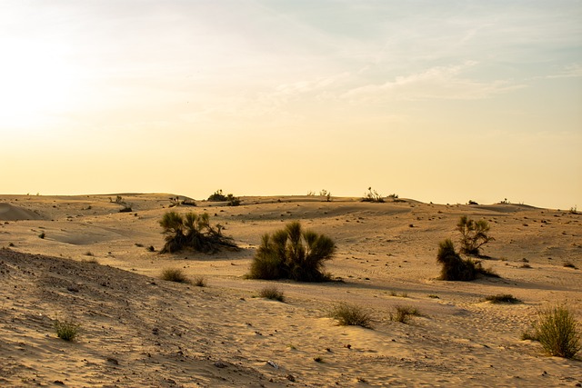 dunes, sandboarding, adventure, landscape, nature, photography