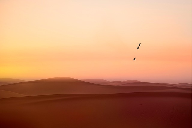 dunes, sandboarding, adventure, landscape, nature, photography