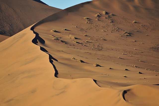 dunes-sandboarding-adventure-landscape-n-640x480-46784758.jpeg