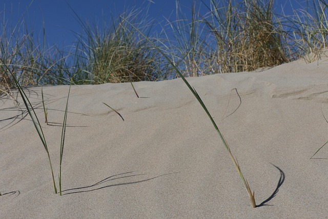 dunes, sandboarding, adventure, landscape, nature, photography
