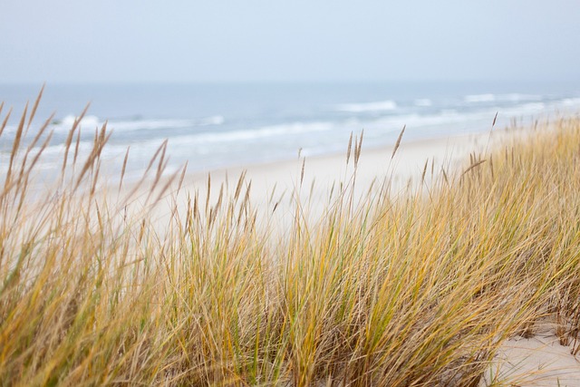 dunes, sandboarding, adventure, landscape, nature, photography