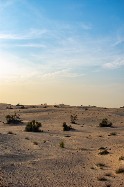 dunes, sandboarding, adventure, landscape, nature, photography