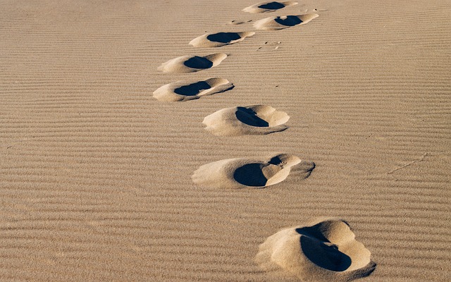 dunes-sandboarding-adventure-landscape-n-640x480-73383744.jpeg