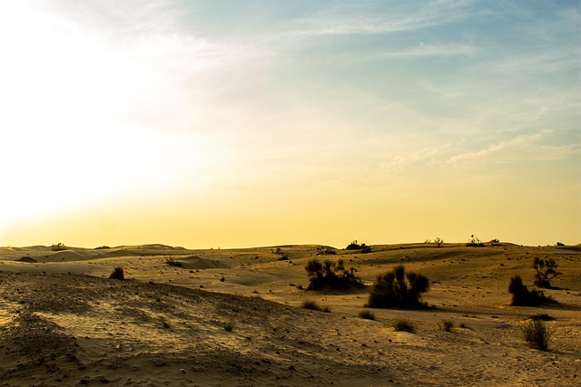 dunes, sandboarding, adventure, landscape, nature, photography