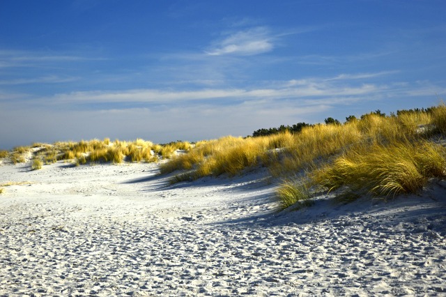 dunes-sandboarding-adventure-landscape-n-640x480-83859597.jpeg