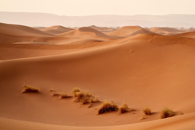 dunes, sandboarding, adventure, landscape, nature, photography