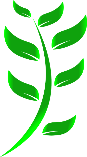 eco-friendly, plumbing, green, sustainable, efficient, upgrade