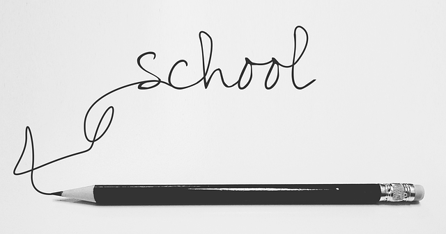 education, screening, safety, credentials, schools, verification
