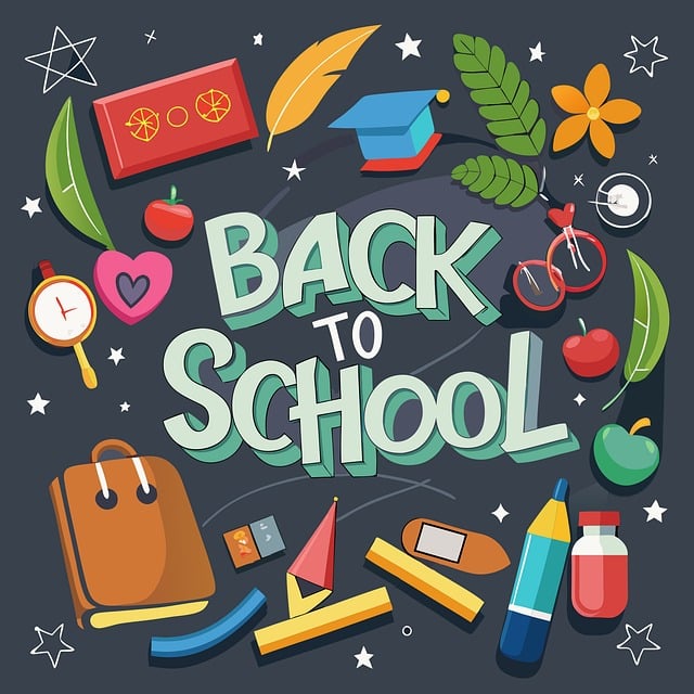 education, screening, safety, credentials, schools, verification