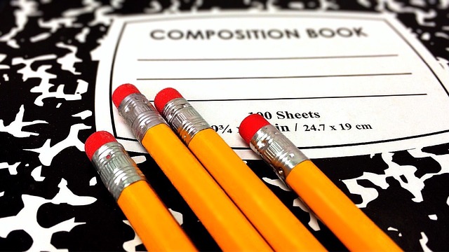education, screening, safety, credentials, schools, verification