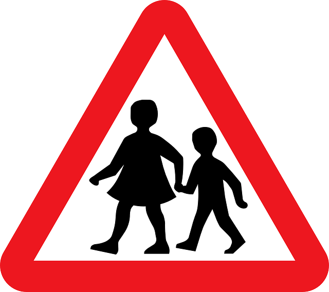 education, screening, safety, credentials, schools, verification