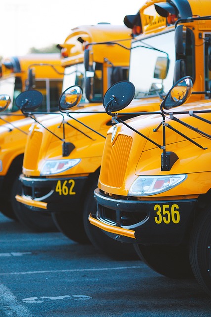 education, screening, safety, credentials, schools, verification