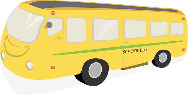 education, screening, safety, credentials, schools, verification