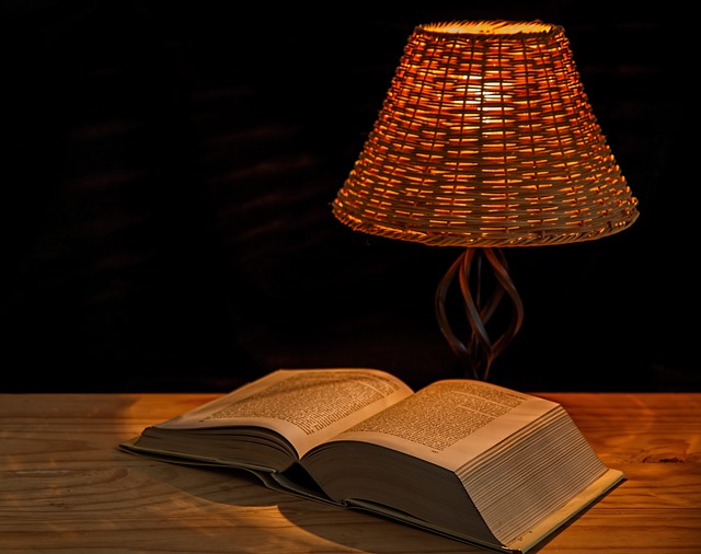 electrician,electric lights,lights,lamp,thermostat
