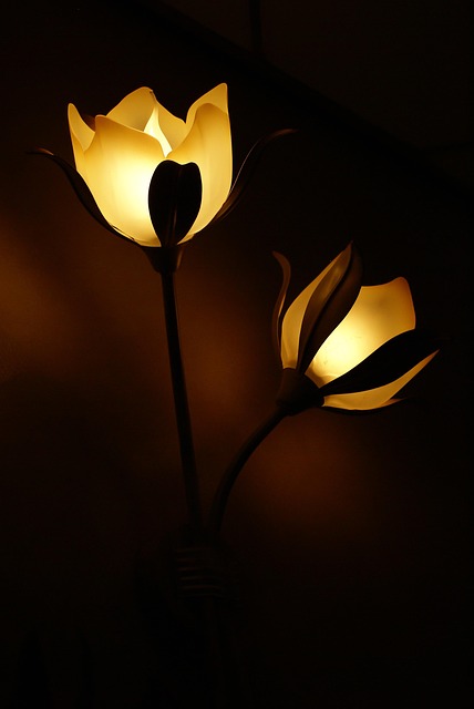 electrician,electric lights,lights,lamp,thermostat