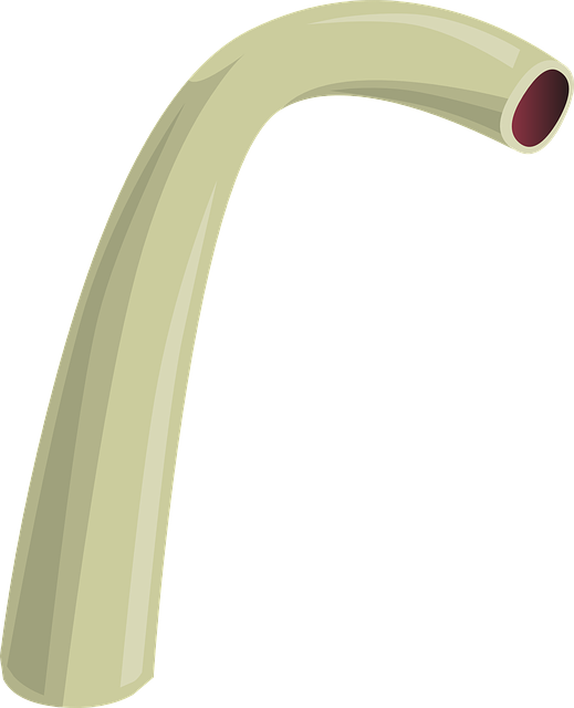 emergency, plumbing, service, urgent, repair, response