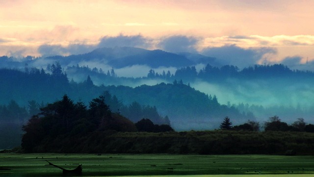 Enforcement, support, payment, legal, Oregon, process