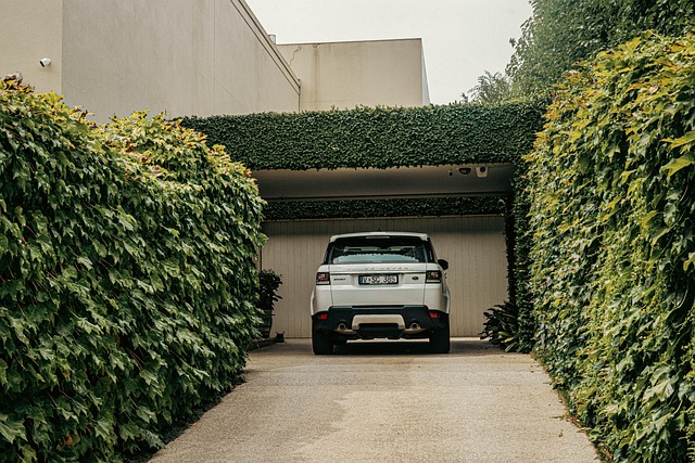 estate