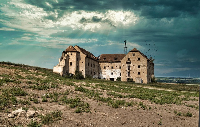 estate