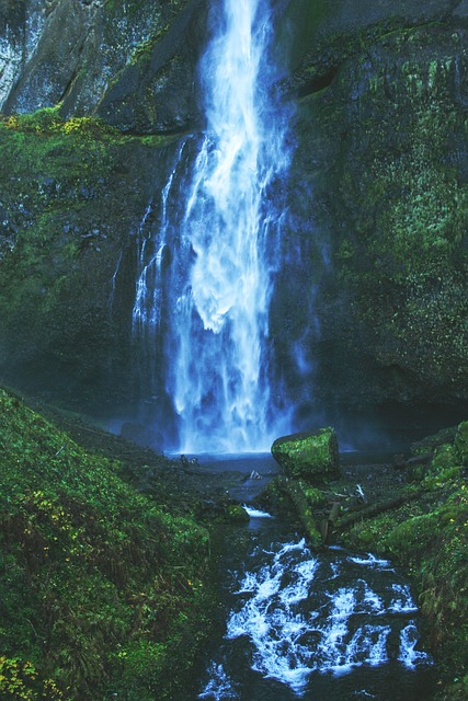 eugene oregon
