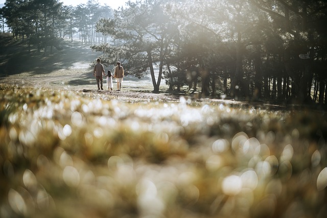 family, kids, activities, parks, hiking, museums