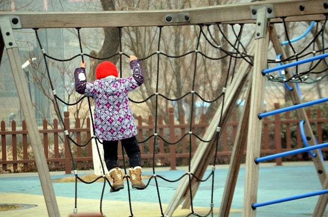 Interactive Museums & Local Zoos: Engaging Young Minds through Fun Exhibits