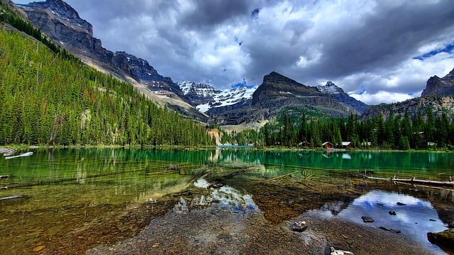 family, outdoors, nature, hiking, camping, biking