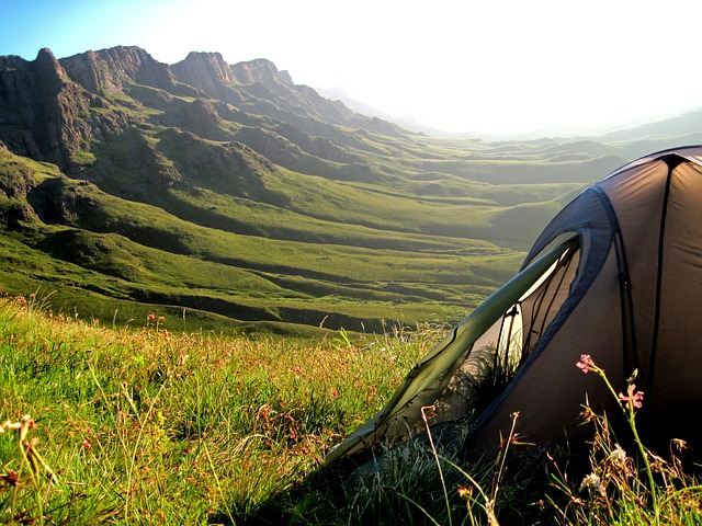 family, outdoors, nature, hiking, camping, biking