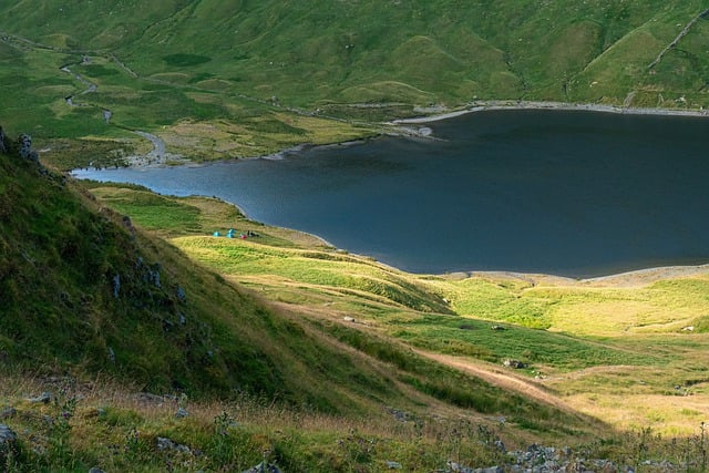 family, outdoors, nature, hiking, camping, biking
