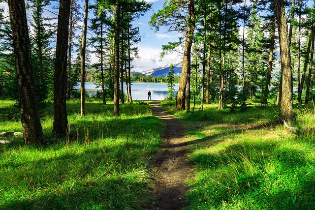family, outdoors, nature, hiking, camping, biking