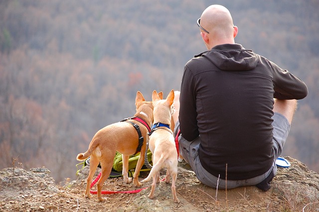 family, outdoors, nature, hiking, camping, biking