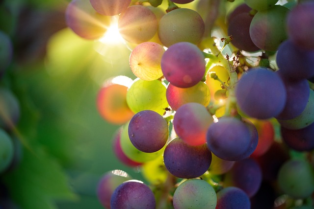 farmers market, produce, vegetables, fresh, organic, stalls