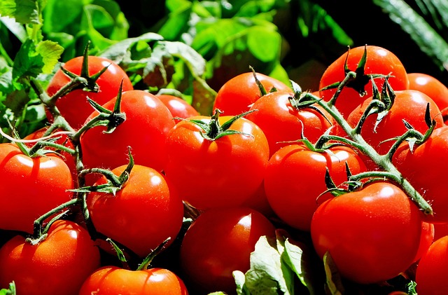 farmers market, produce, vegetables, fresh, organic, stalls