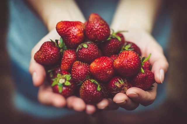 farmers market, produce, vegetables, fresh, organic, stalls