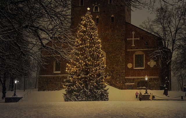 festivals, seasonal, music, cultural, food, holiday