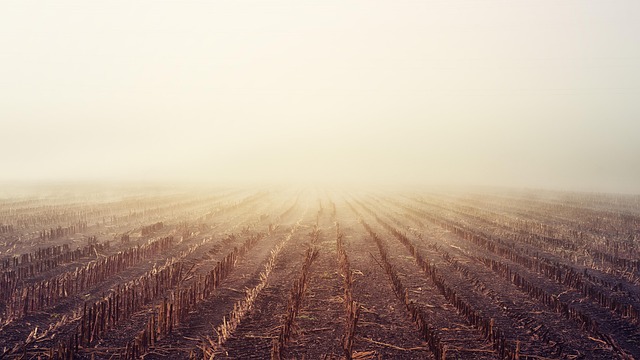 field