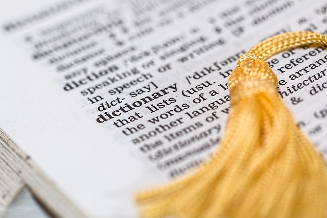 finance, business, learning, basics, understanding, guide