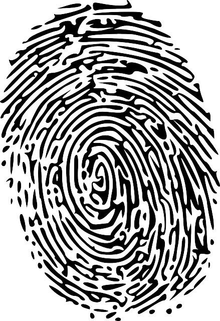 finance, screening, compliance, security, fraud, verification