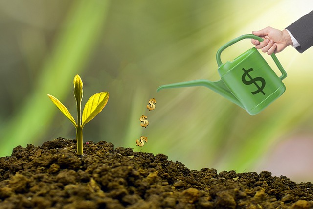 financing, growth, savings, business, flexibility, capital