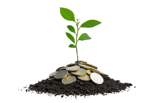 financing-growth-savings-business-flexib-640x480-99408680.png