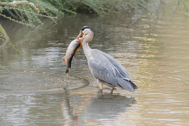 fishing