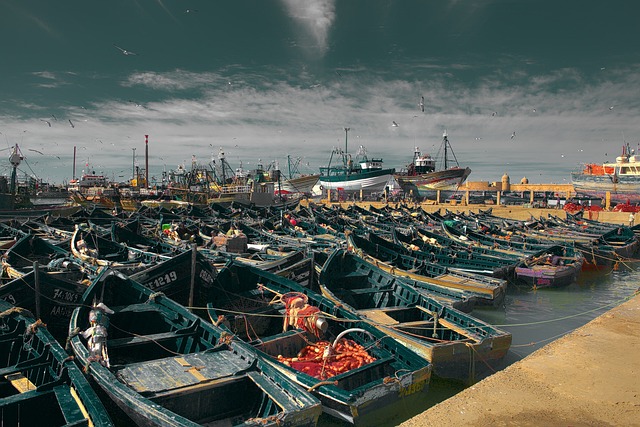 fishing