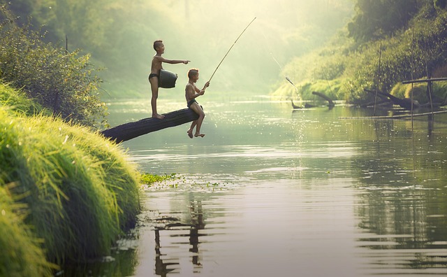 fishing, river, lake, nature, angling, outdoors