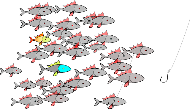 fishing-river-lake-nature-angling-outdoo-640x480-29253082.png