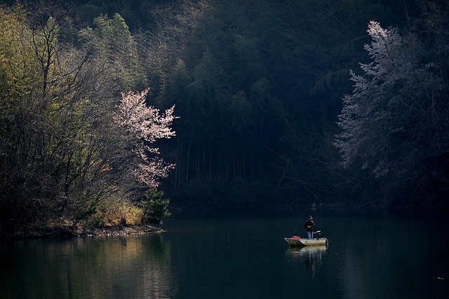 fishing, river, lake, nature, angling, outdoors