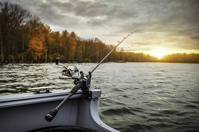 fishing, river, lake, nature, angling, outdoors