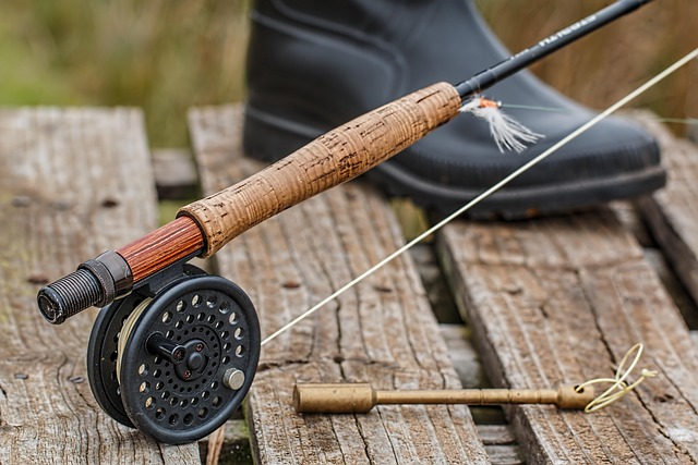 fishing, river, lake, nature, angling, outdoors