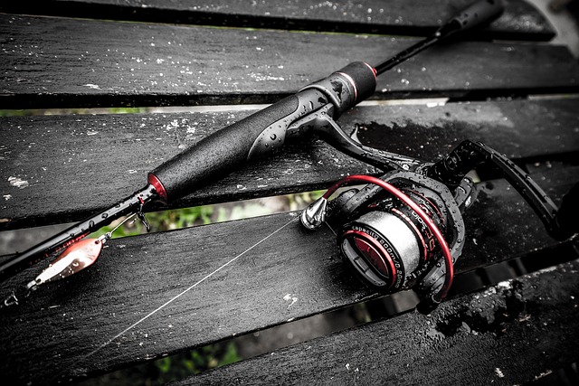 fishing, river, lake, nature, angling, outdoors