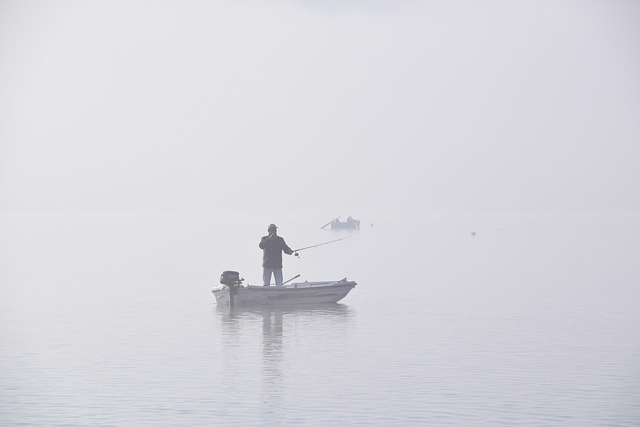 fishing, river, lake, nature, angling, outdoors