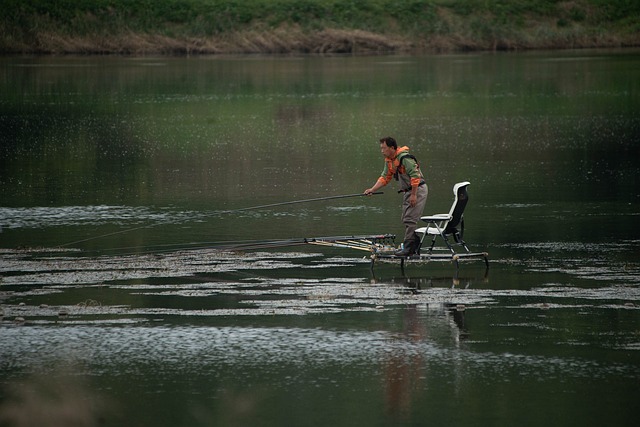 fishing, river, lake, nature, angling, outdoors